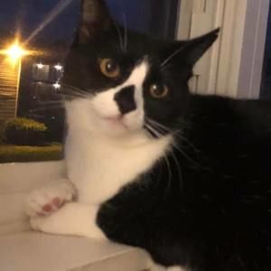 Meet your Posher, Christy